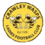 Crawley Wasps W logo