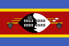 Eswatini W logo